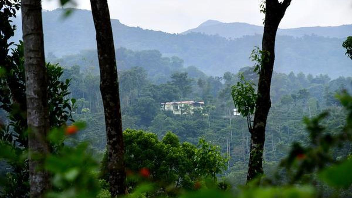 Act against illegal resorts and homestays in tiger reserves: Ramalinga Reddy