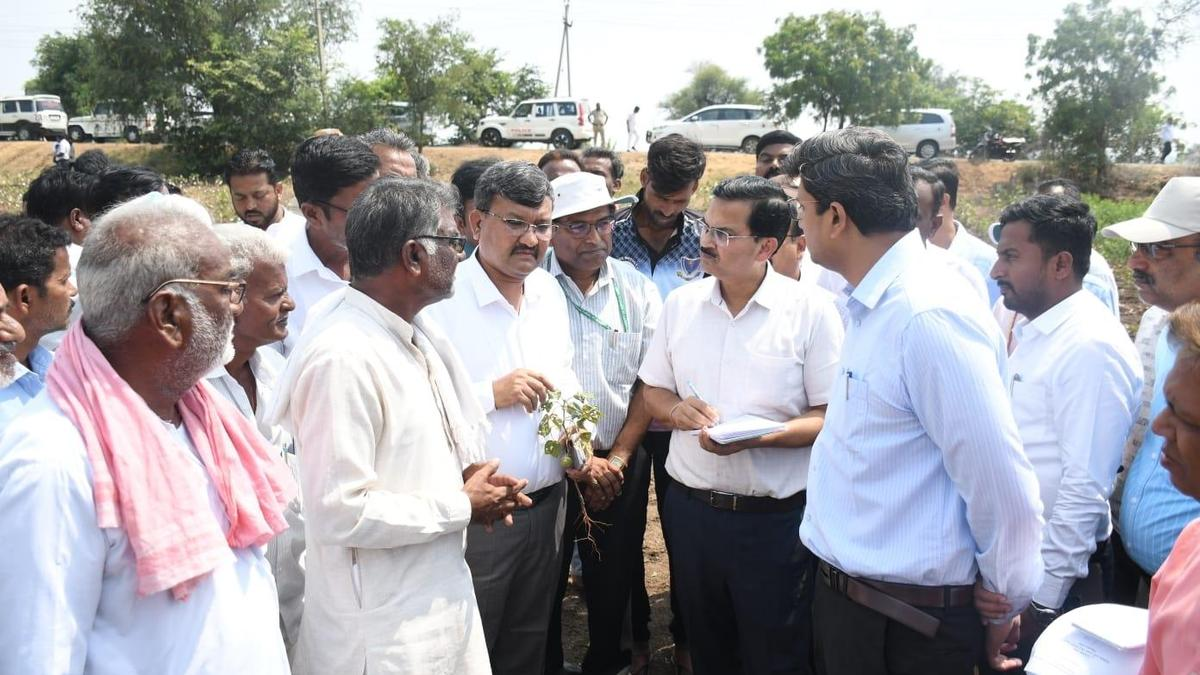 Central teams continue visits to drought-hit areas